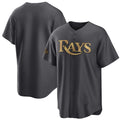 Tampa Bay Rays Blank Charcoal FEDASGOGE 2022 All-Star Cool Base Stitched Jersey